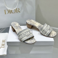 Christian Dior Slippers